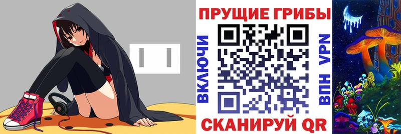 Псилоцибиновые грибы GOLDEN TEACHER  купить закладку  Кяхта 
